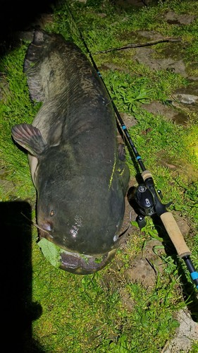 Loomis nrx jig - g.loomis, &